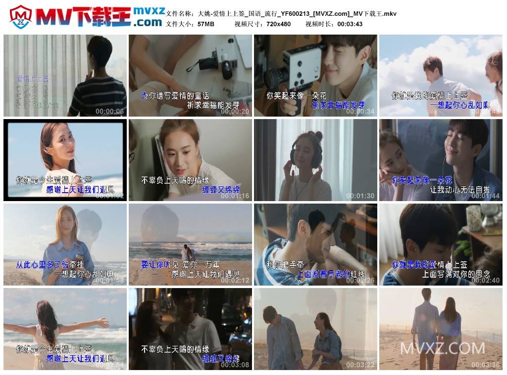大姚-爱情上上签_国语_流行_YF600213